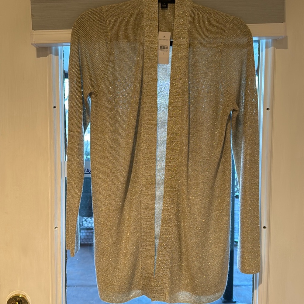 Ann Taylor glimmer sweater.